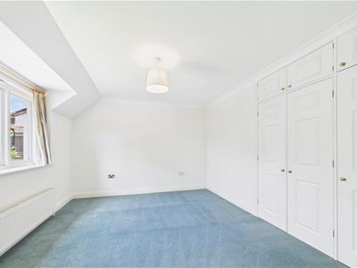 Picture 28